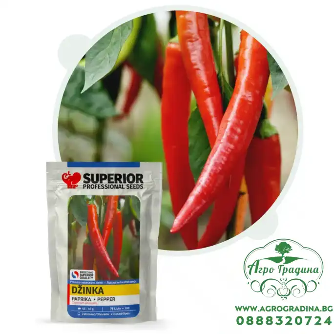 Пипер Лясковачка джинка - люти чушки