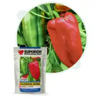 Пипер Слонов крак / Слонова Нога