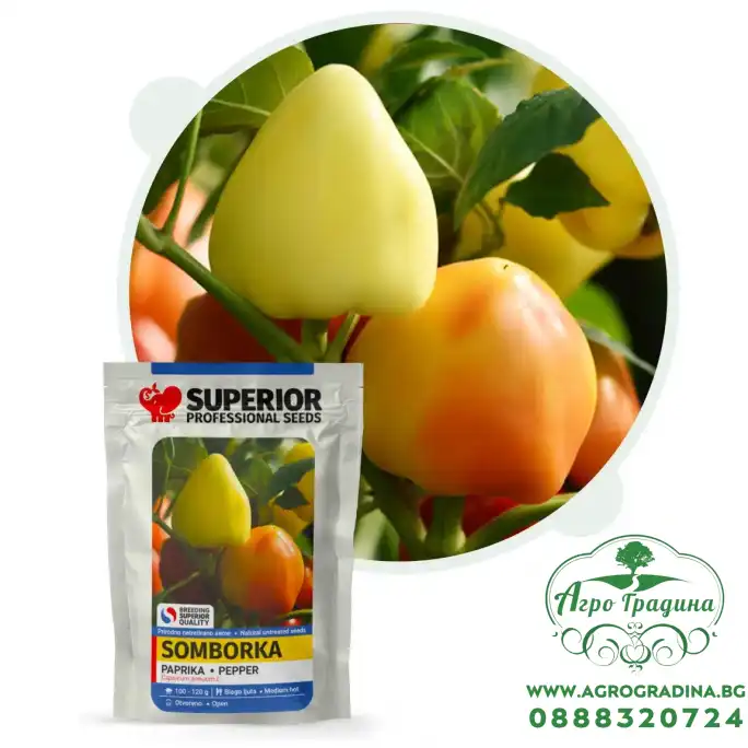 Пипер Сомборка Пипер Сомборка