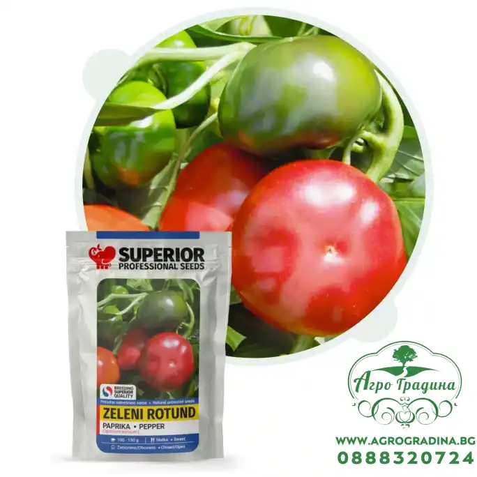 Пипер Зелен Ратунд Пипер Зелен Ратунд