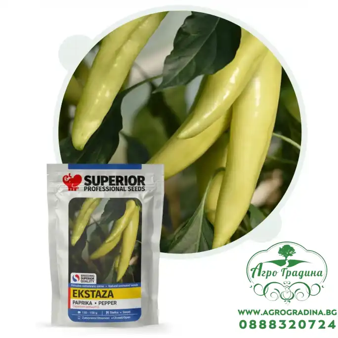 Пипер Екстаза