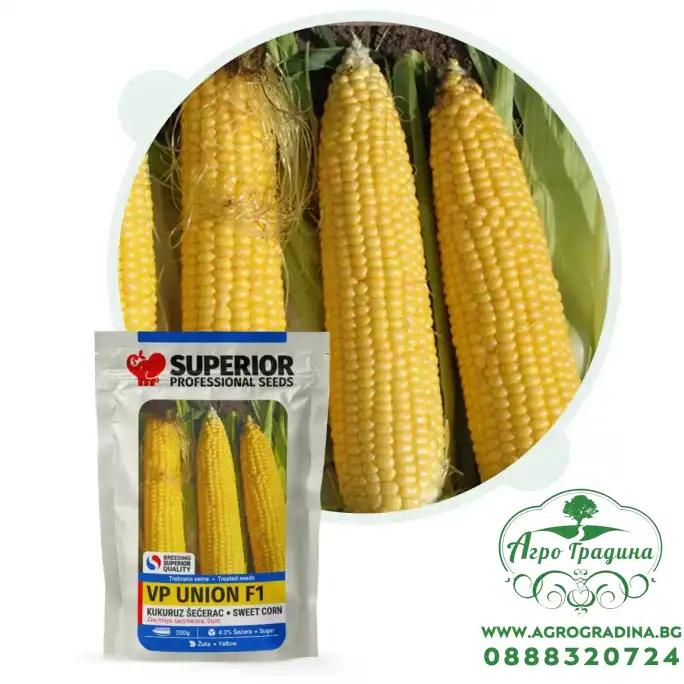 Сладка Царевица Унион F1