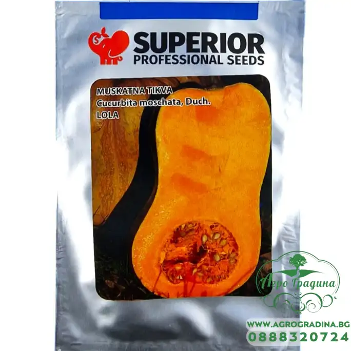 Тиква Мускатна Лола (Лолита) Тиква Мускатна Лола (Лолита)
