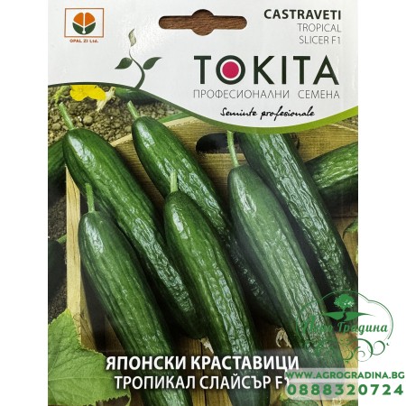Краставици Тропикал Слайсър F1