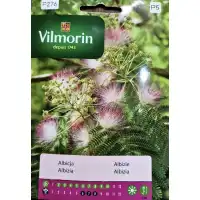 Албиция Albizia