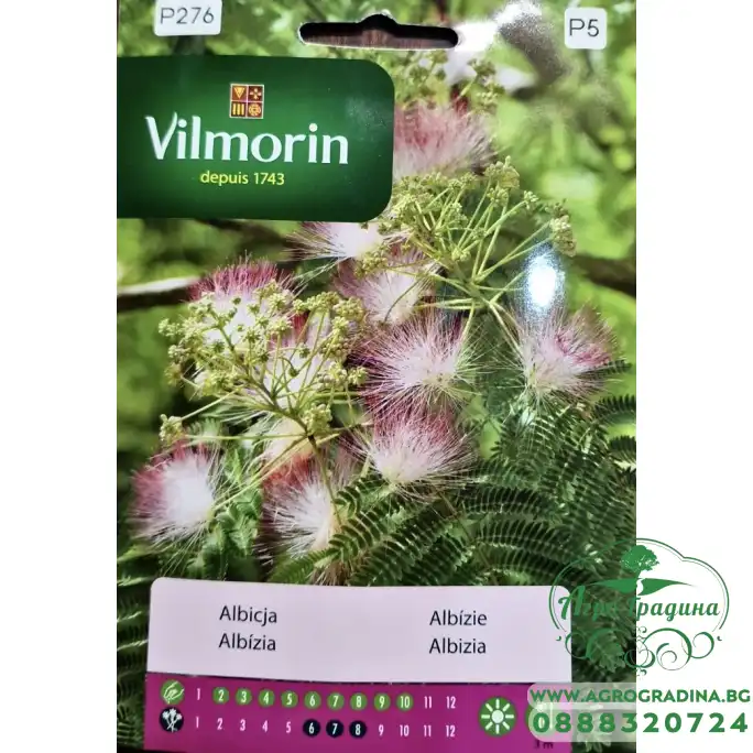 Албиция Albizia