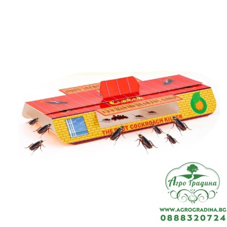 Капан за хлебарки - къщичка с лепило