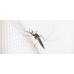 Зиг Заг Sport - лосион репелент против насекоми, комари, кърлежи