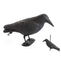 Стоящ гарван за отблъскване на птици - 38 х 20 см