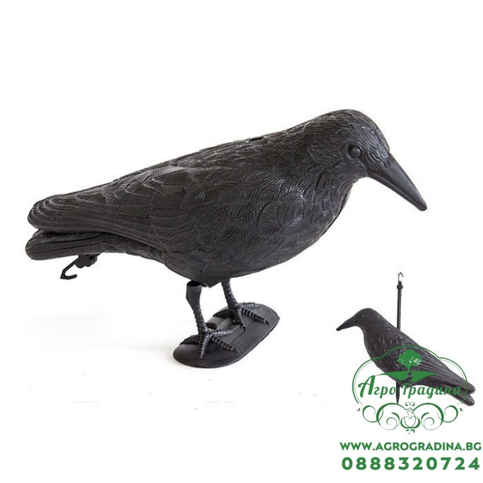 Стоящ гарван за отблъскване на птици - 38 х 20 см Стоящ гарван за отблъскване на птици - 38 х 20 см
