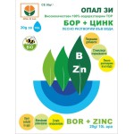 БОР + ЦИНК – листен тор за цъфтеж, опрашване и завръз