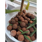 Керамзитени топчета (камъчета)