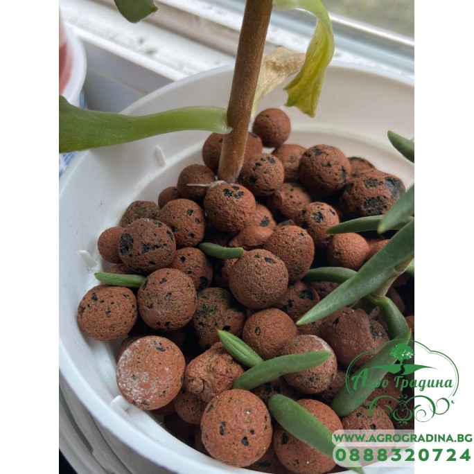 Керамзитени топчета (камъчета)