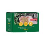 Бял синап / Sinapis alba - за зелено торене