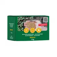 Бял синап / Sinapis alba - за зелено торене