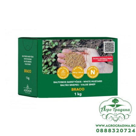 Бял синап / Sinapis alba - за зелено торене