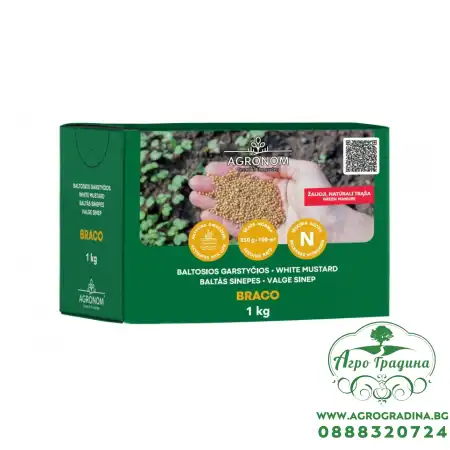 Бял синап / Sinapis alba - за зелено торене
