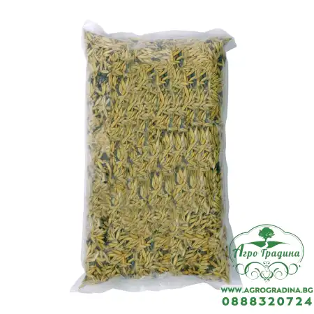 Овес и Фий / Avena sativa, Vicia sativa – МИКС за зелено торене