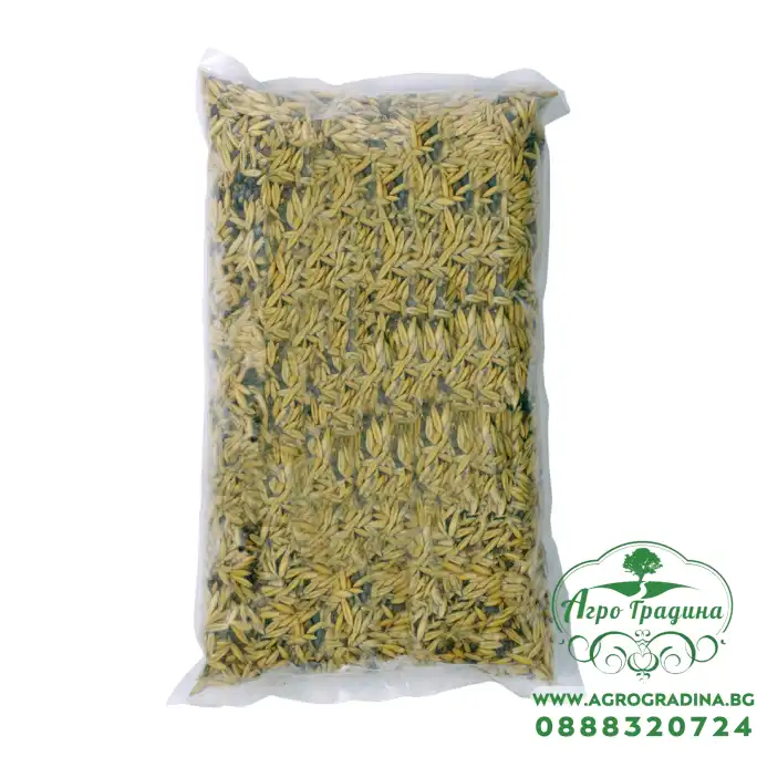 Овес и Фий Avena sativa, Vicia sativa – МИКС за зелено торене