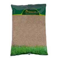 Райграс Темпрано Temprano