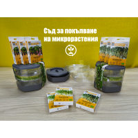 Подаръчен комплект Кълнове - Свежа храна у дома