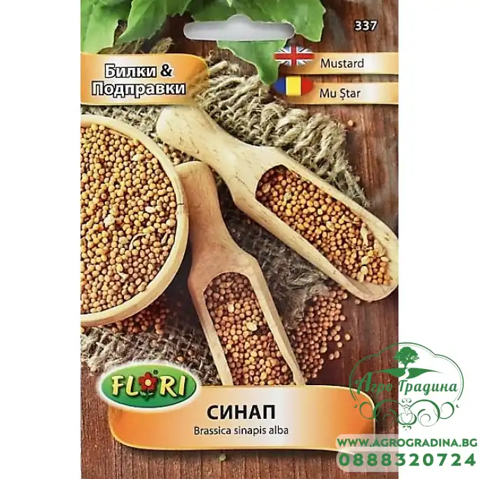 Синап Brassica sinapis alba