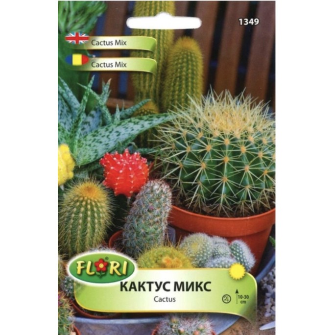 Кактус микс / Cactus mix