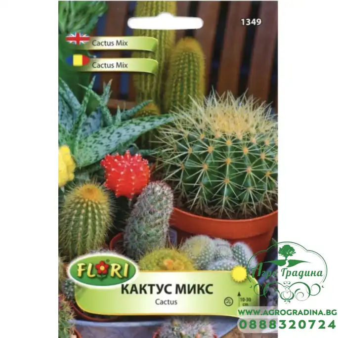 Кактус микс Cactus mix Кактус микс Cactus mix