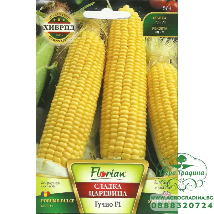 Царевица супер сладка Гучио