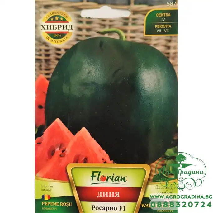 Диня Росарио