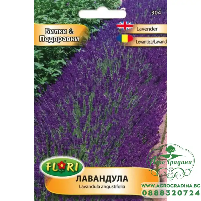 Лавандула Lavandula angustifolia Лавандула Lavandula angustifolia
