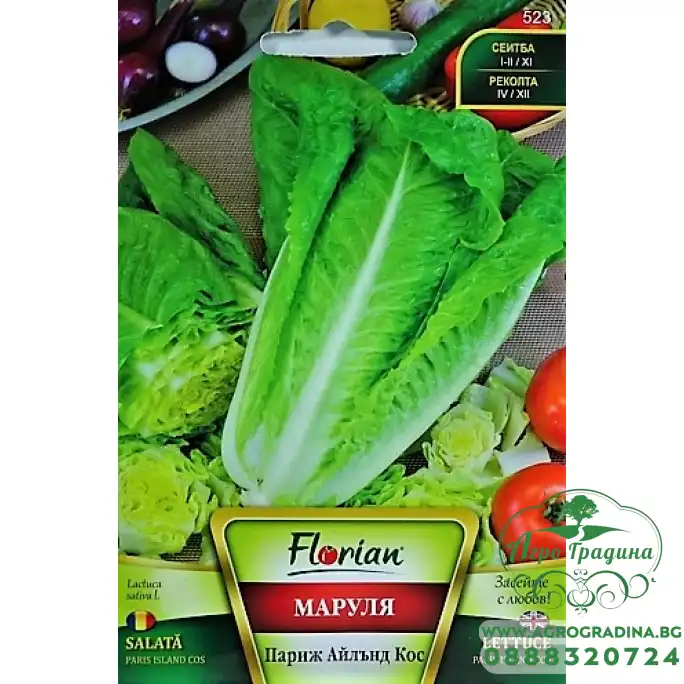 Маруля Париж Айлънд Кос