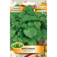 Маточина Melissa officinalis