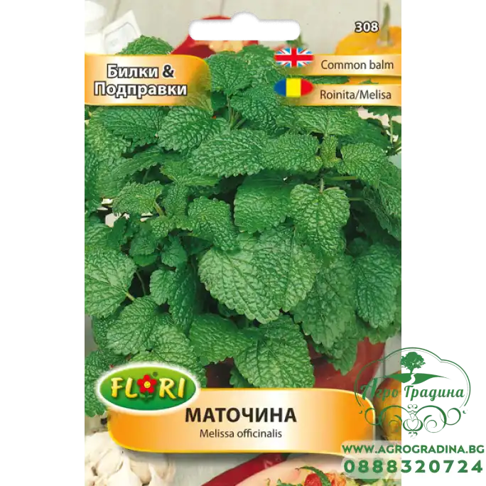 Маточина Melissa officinalis