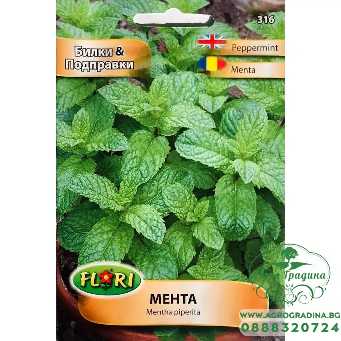Мента Mentha piperita