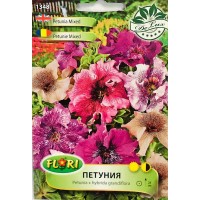 Петуния пъстра микс Petunia x hybrida grandiflora veined mix