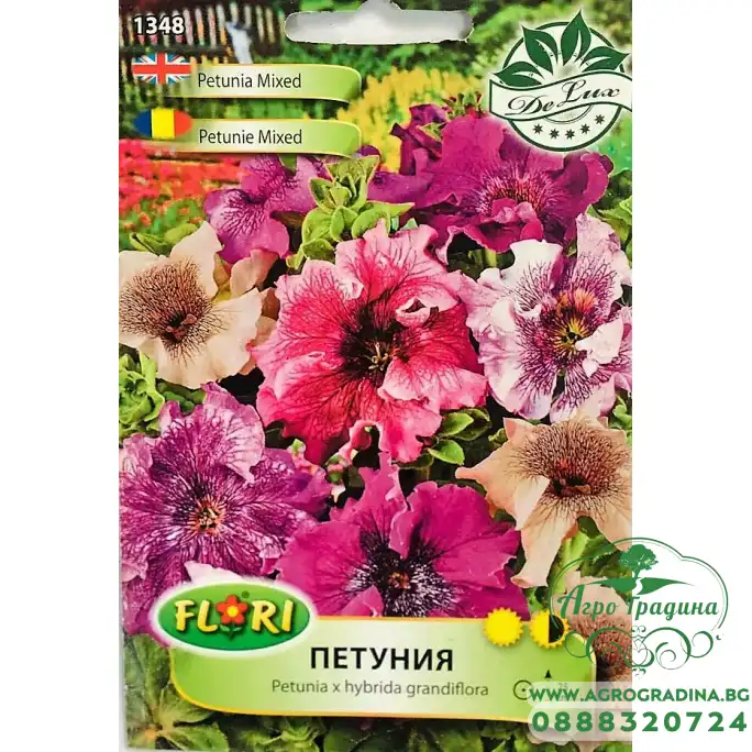 Петуния пъстра микс Petunia x hybrida grandiflora veined mix Петуния пъстра микс Petunia x hybrida grandiflora veined mix