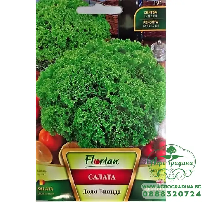 Салата Лоло Бионда