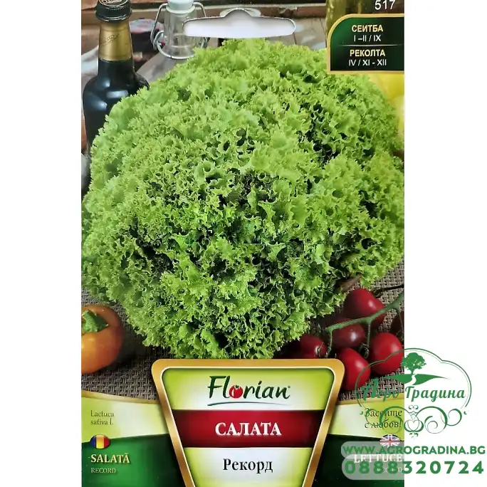 Салата Рекорд
