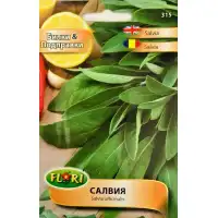 Салвия Salvia officinalis