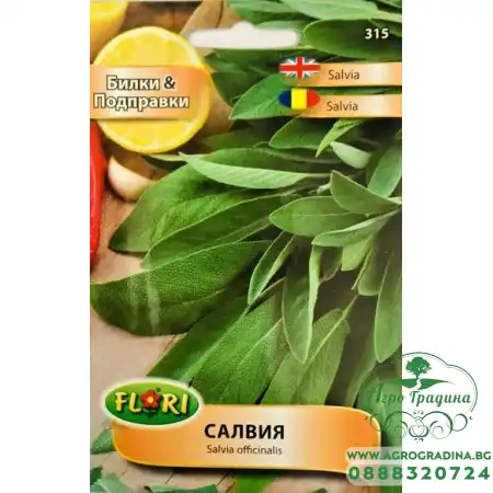 Салвия Salvia officinalis