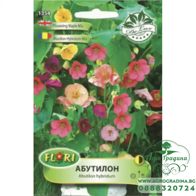 Абутилон (Стаен клен) микс Abutilon hybridum mix