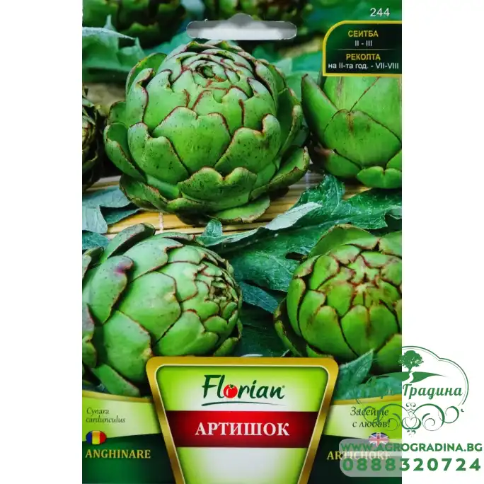 Семена от Артишок