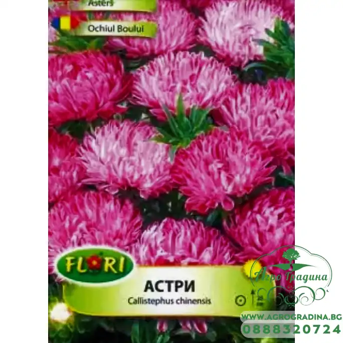 Астри Контрастер