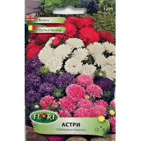 Астри Мини Микс