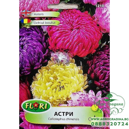 Астри Паеони микс