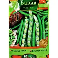 Бакла сорт Супер Гуадулче