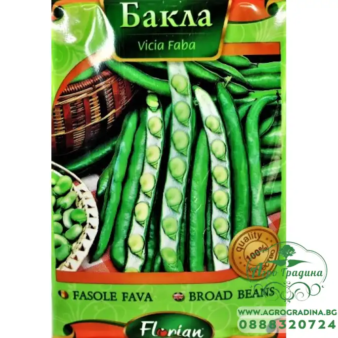 Бакла сорт Супер Гуадулче