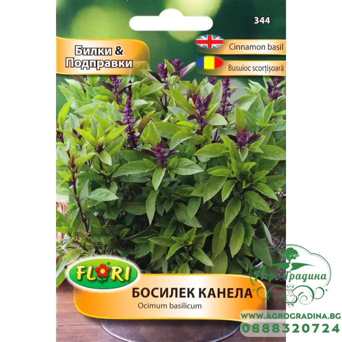 Босилек канела