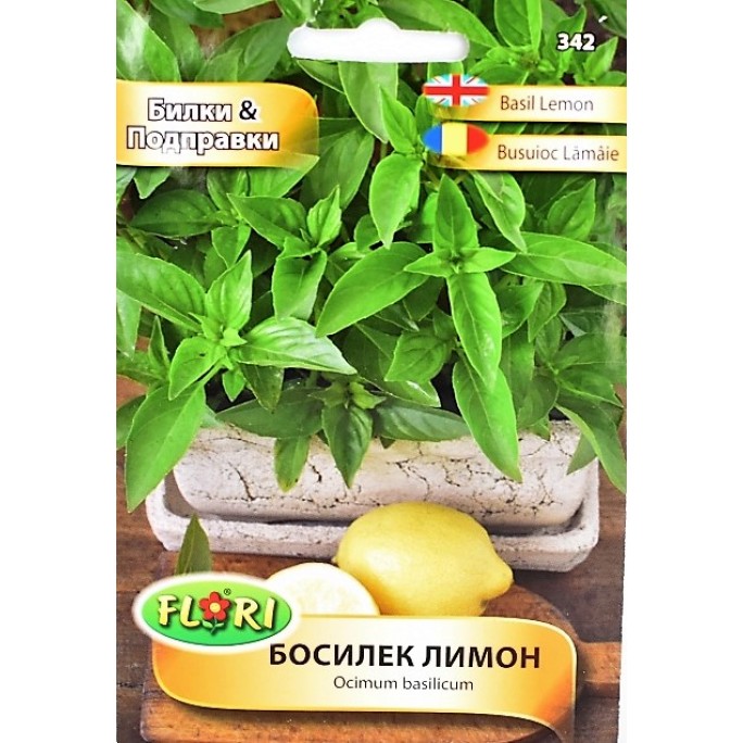 Босилек лимон / Ocimum basilicum